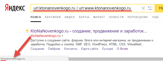 Какое зеркало сайта выбрал Яндекс - с WWW или без него