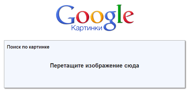     Google -  10