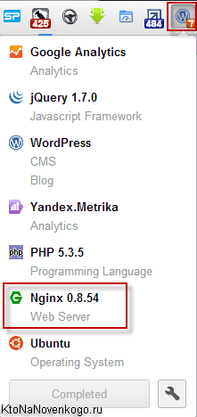 Как с помощью плагина Wappalyzer, что на сервере сайта установлен nginx