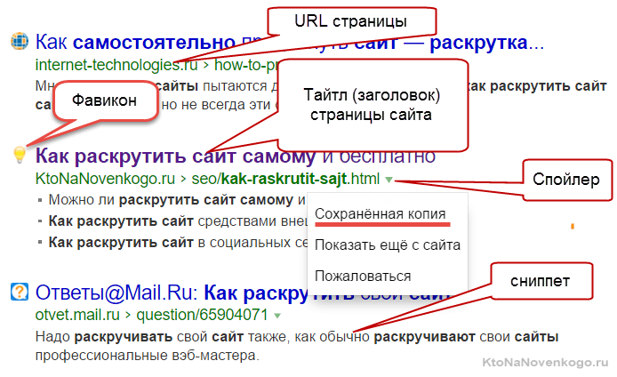 Как выглядит сайт в поисковой выдаче Яндекса и как называют имеющиеся там элементы