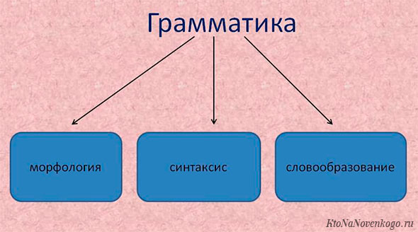 Что такое грамматика русского языка
