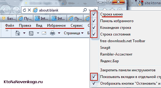 В какой папке internet explorer