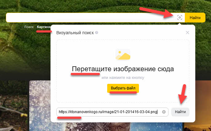 Яндекс поиск по картинкам
