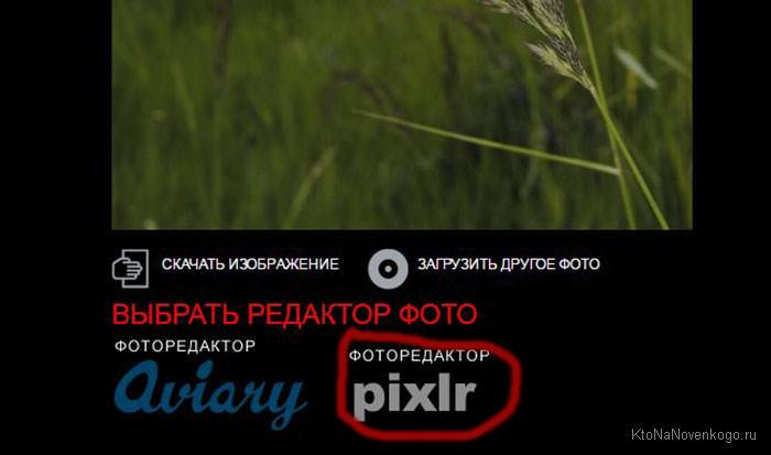 Pixlr Editor — фотошоп в онлайне 