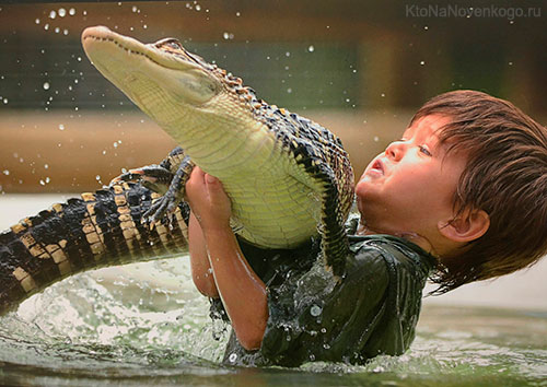 smelost krokodil