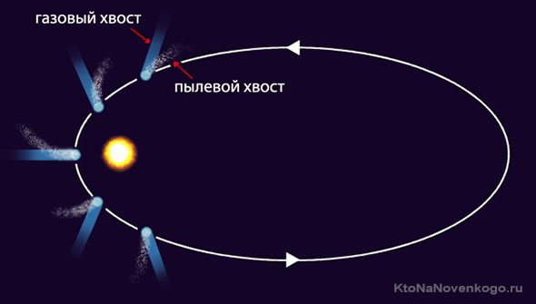 solnechnaia sistema kometa