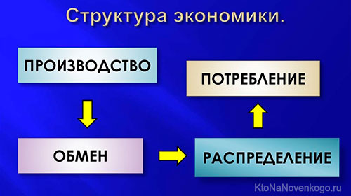 struktura ekonomika