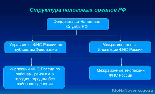 Структура налоговых органов РФ