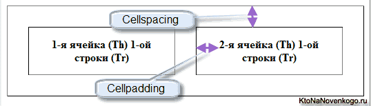 На что влияют Cellpadding и Cellspacing
