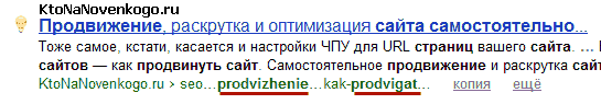 В выдаче Яндекса подчеркнуто ключевое слова в Урле написанное транслитом