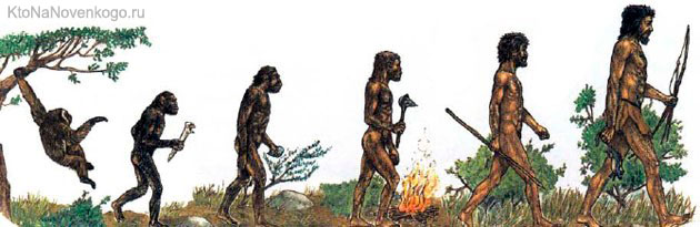 Эволюция из обезьяны в человека