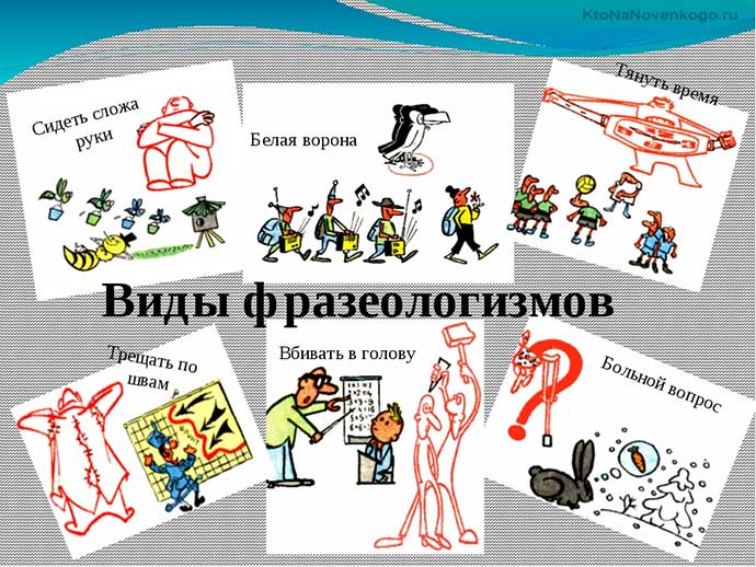 Что такое фразеологизмы в русском языке 6 класс. какие слова в предложениях?