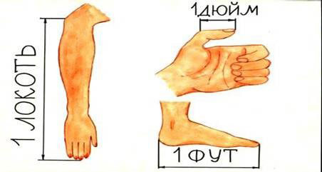Руки и ноги